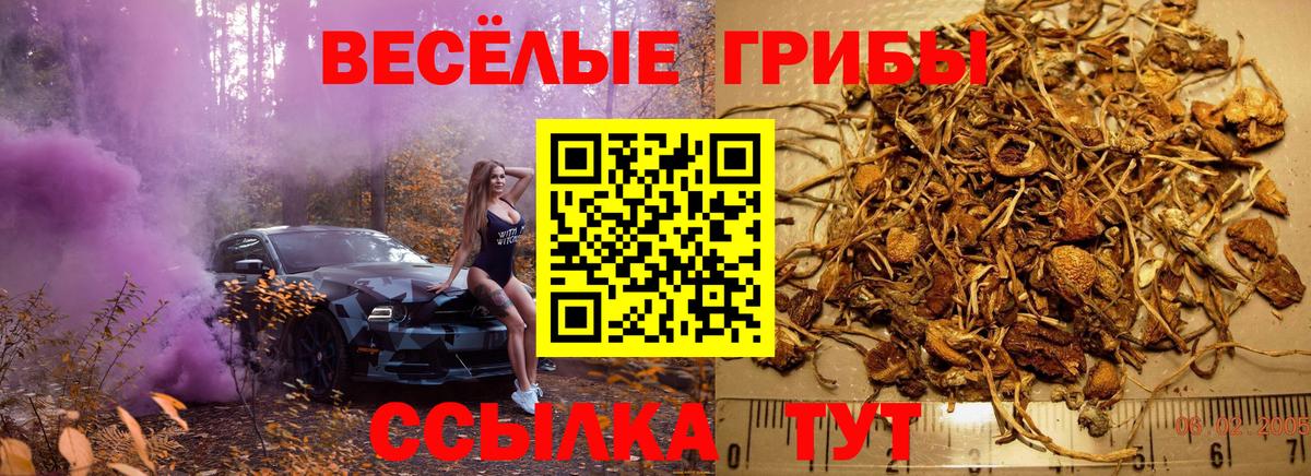 Галлюциногенные грибы мухоморы Феодосия