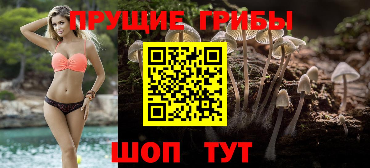 Псилоцибиновые грибы прущие грибы  Галлюциногенные грибы Psilocybe  Феодосия  Вход с VPN 